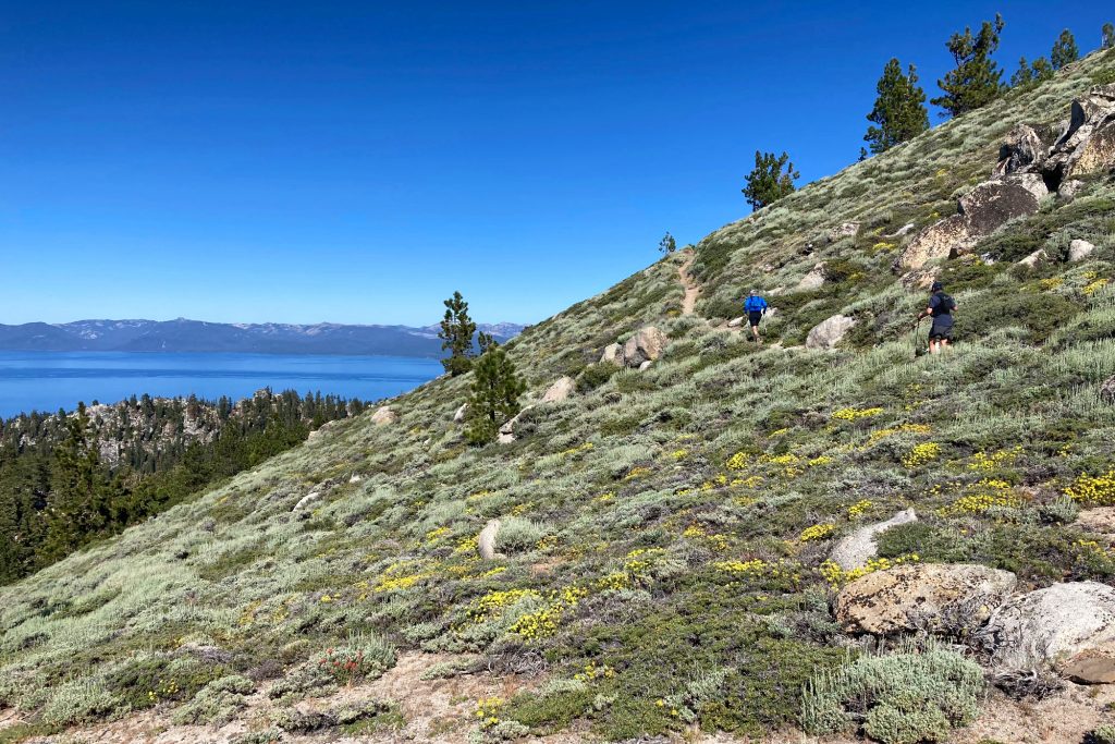 Sentier du Tahoe Rim Trail Endurance Runs